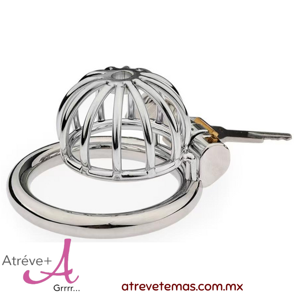 Dispositivos de castidad