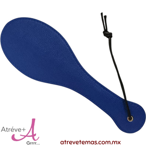 Paleta de azotes
