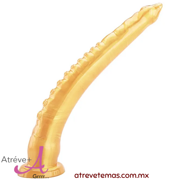 Lengua tenta culos