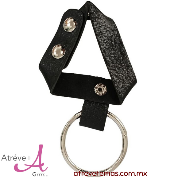 Anillo de botón