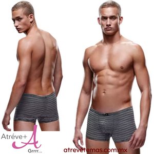 Boxer M/L